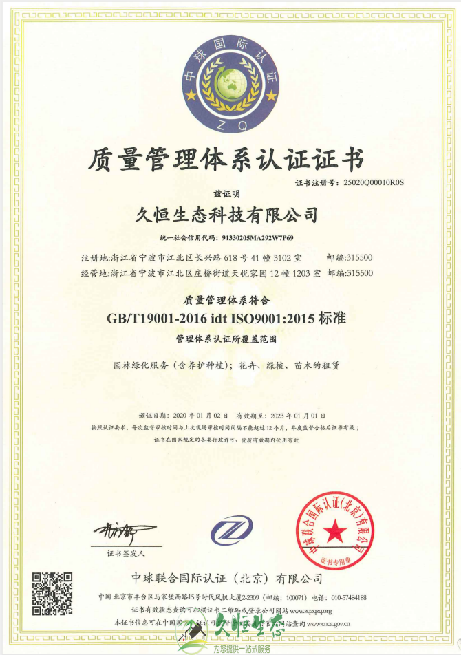 政务质量管理体系ISO9001证书