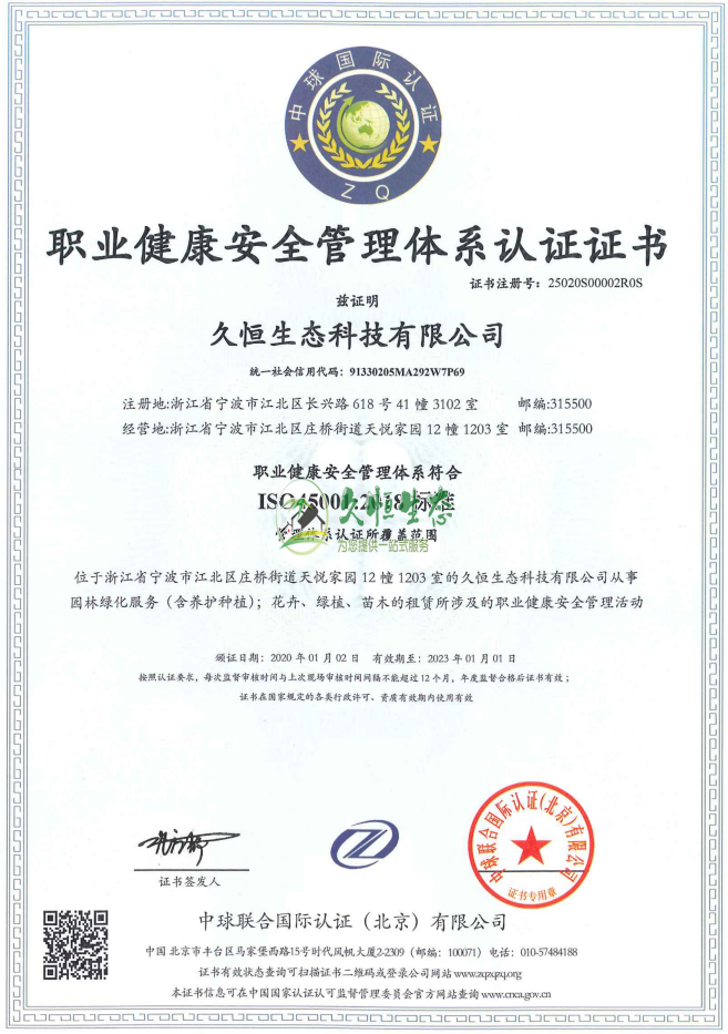 政务职业健康安全管理体系ISO45001证书
